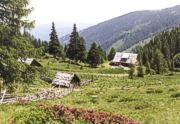 Bild von Leebhütte
